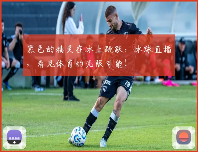 黑色的精灵在冰上跳跃，冰球直播，看见体育的无限可能！