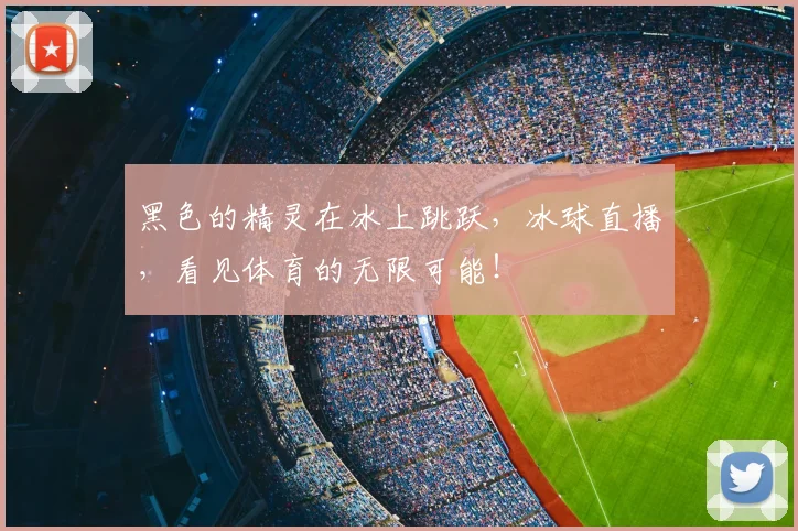 黑色的精灵在冰上跳跃,冰球直播,看见体育的无限可能!